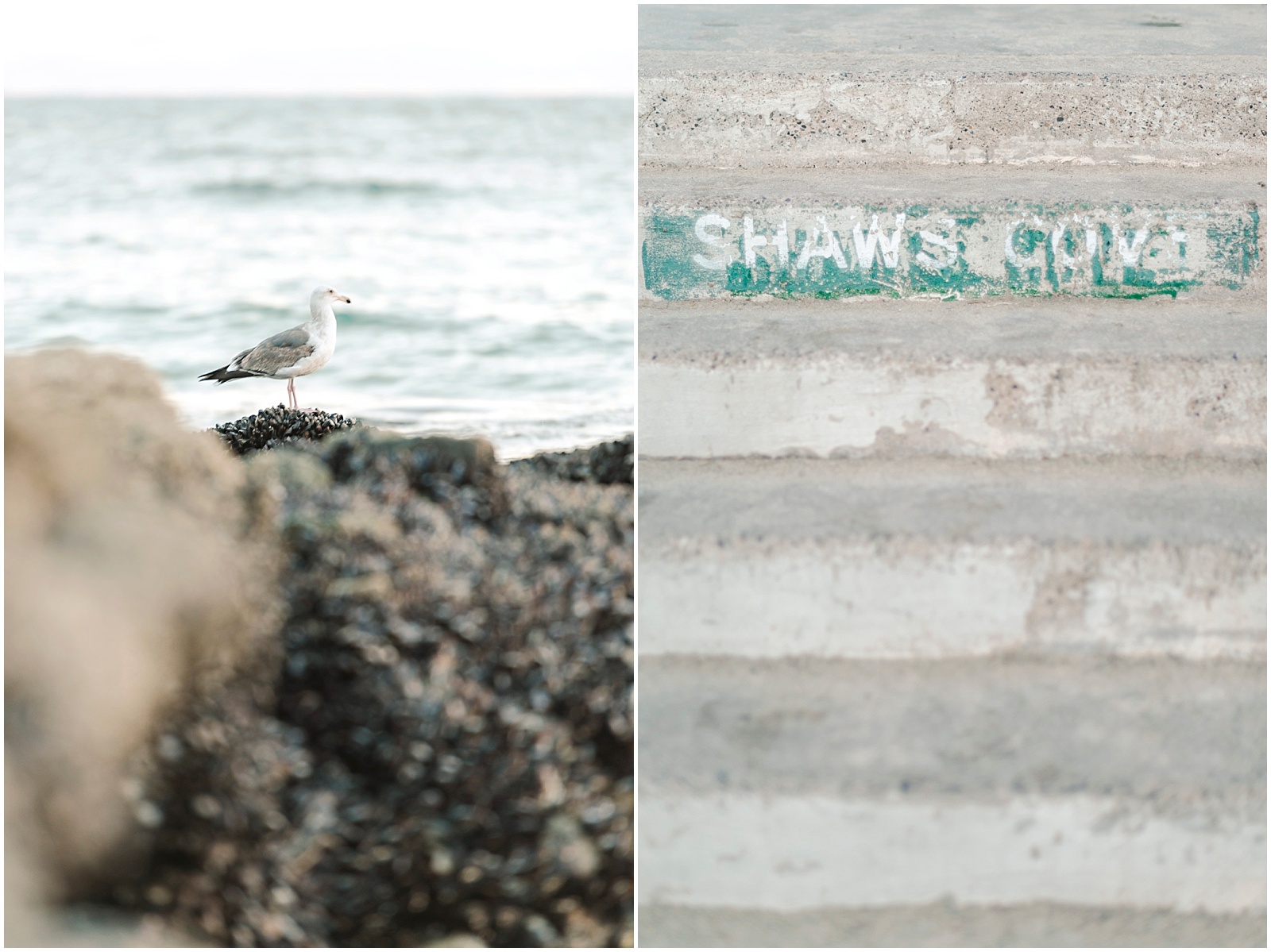 Laguna Beach Engagement Session. Photography by Mollie Jane Photography.  To see more, go to www.molliejanephotography.com