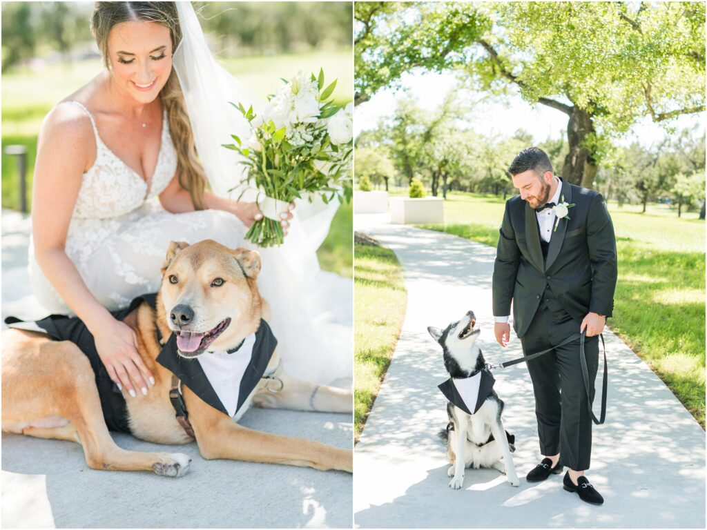 Dogs in your St Augustine wedding