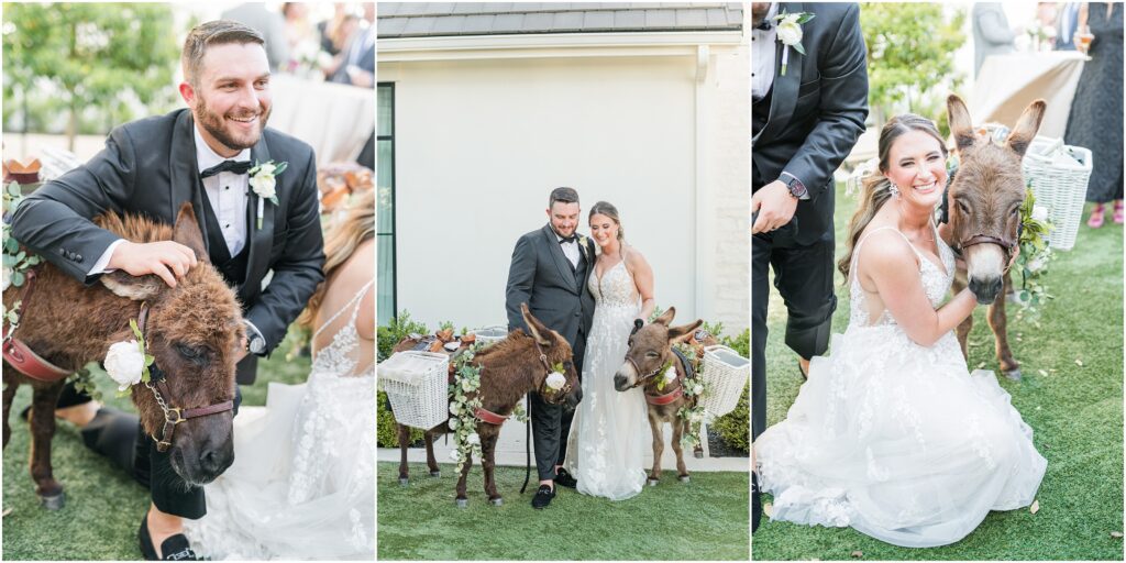 Beer Burros at your Jacksonville or St Augustine wedding