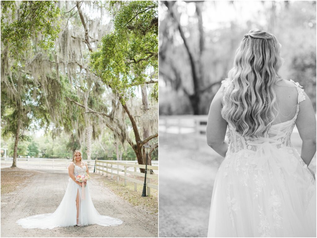 Bridal portraits under the oaks and spanish moss at Chandler Oaks Venue