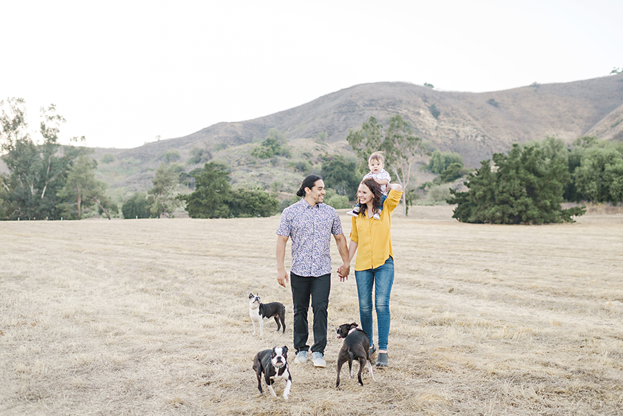 Family Portrait of mom dad baby boy and 3 boxer dogs walking through a California field