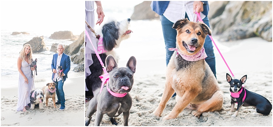 Laguna Beach Engagement Session by Mollie Jane Photography. To see more, go to www.molliejanephotography.com