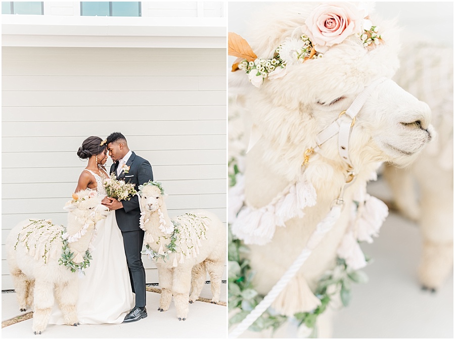 Boxwood Manor Wedding by Mollie Jane Photography. To see more. go to www.molliejanephotography.com