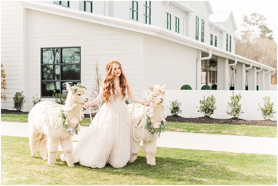 Boxwood Manor Wedding by Mollie Jane Photography. To see more. go to www.molliejanephotography.com