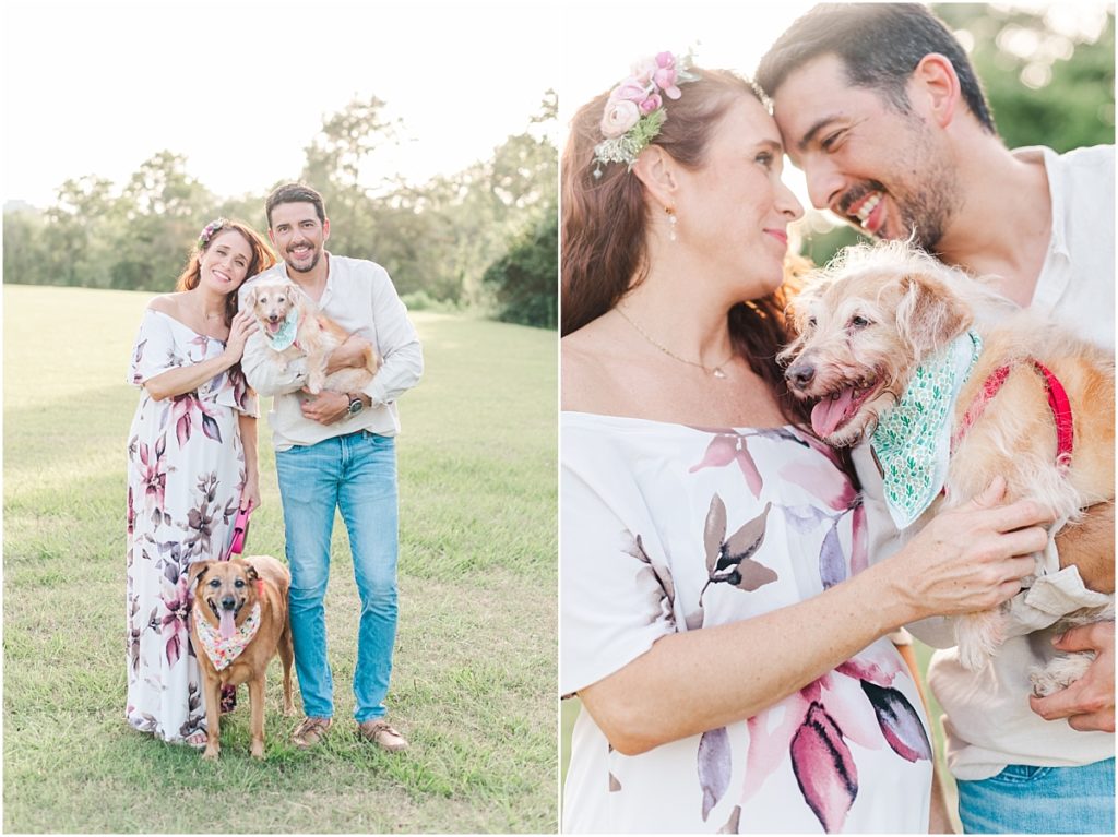 Maternity session in a field with dogs
