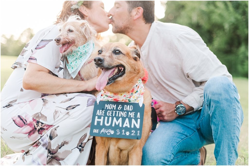 Dog sign for maternity session