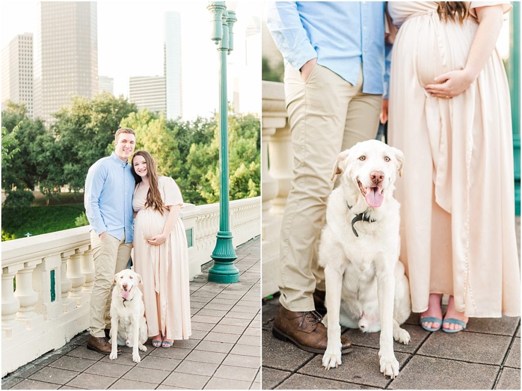 Maternity session with a dog.