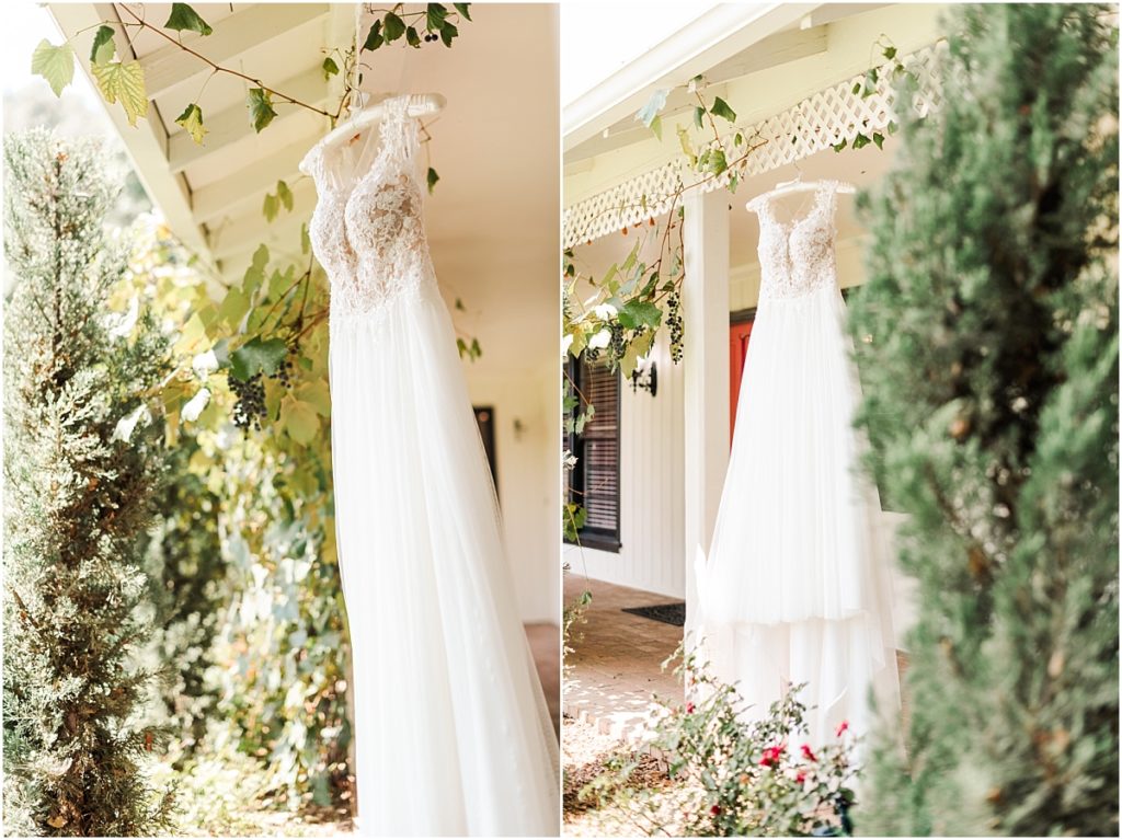 Wedding dress hanging on grape vines