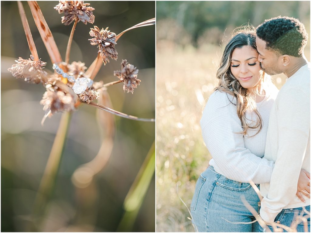 Winter field engagement session