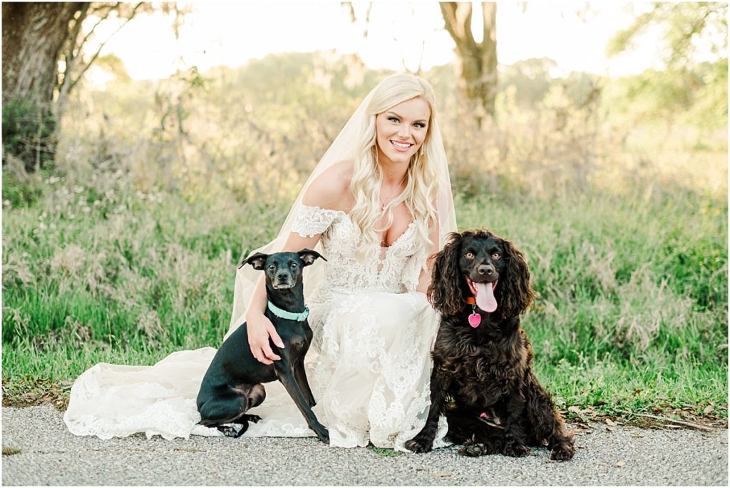 Bridal session with dogs