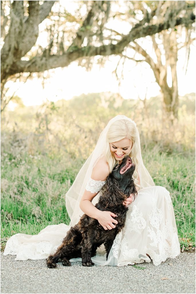 Dogs in Bridal session images