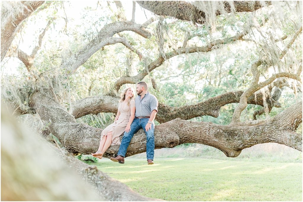 Engagement session in large oak tree at Brazos Bend State Park