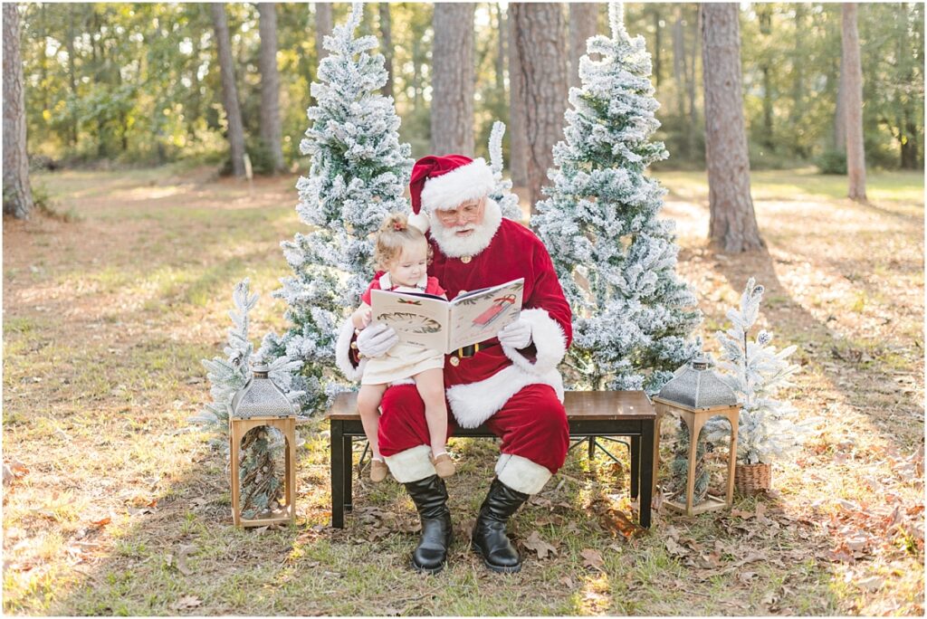 Santa pictures in Houston