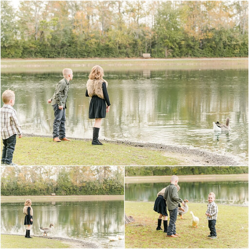 Playing with geese in St. Augustine