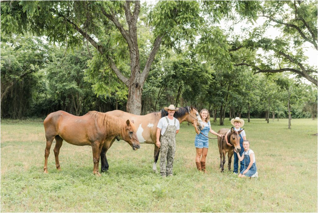 Family pictures in Houston with 2 horses and a donkey