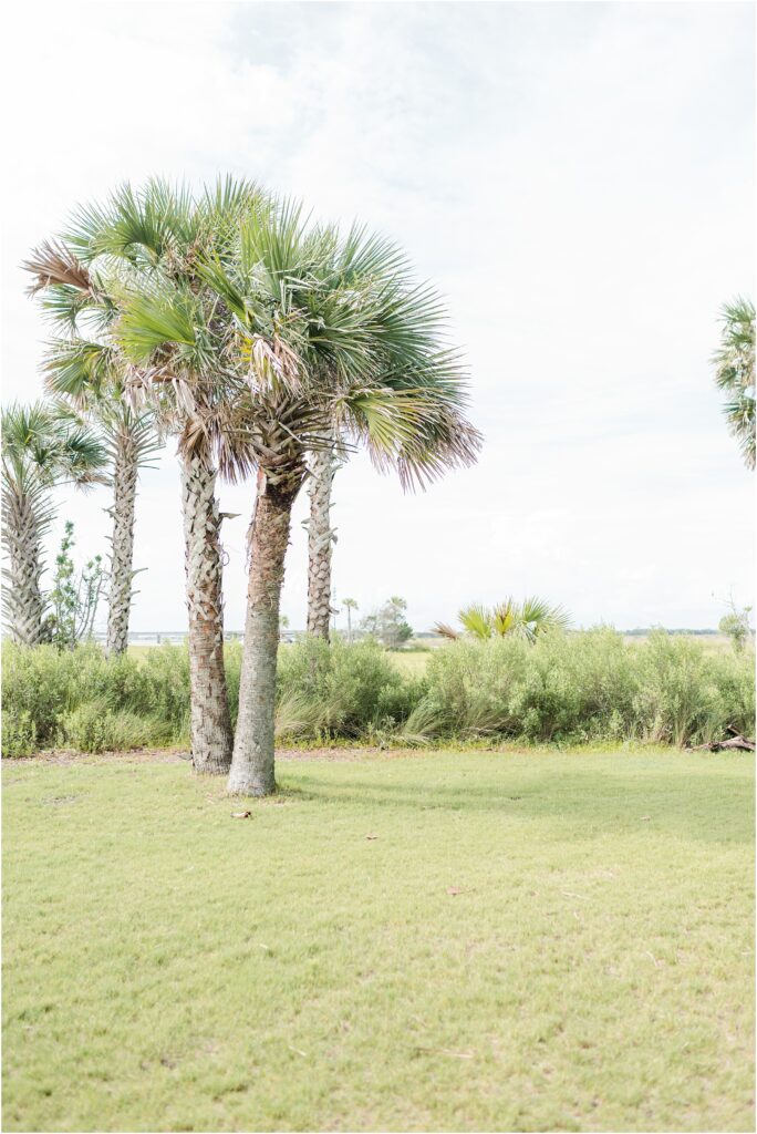 Picture location at the Ribault Club wedding venue in Jacksonville Florida