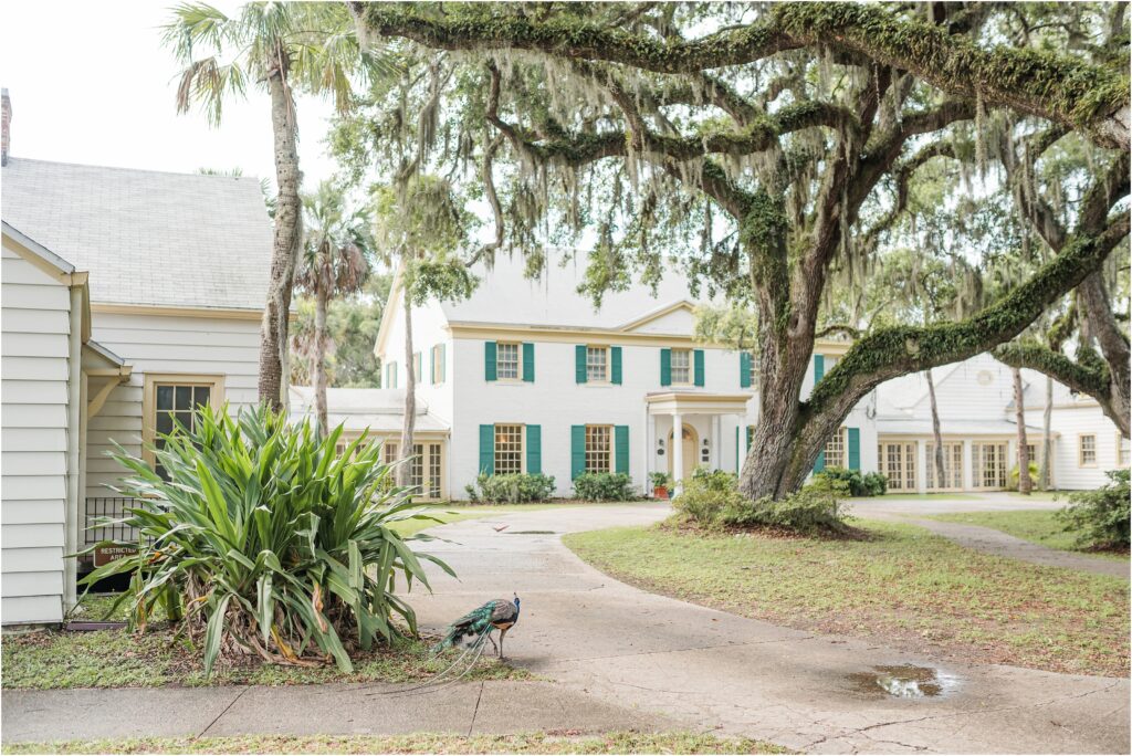 The Ribault Club a Jacksonville wedding venue