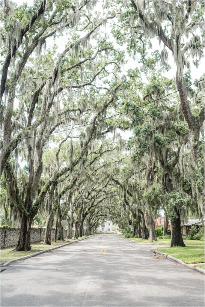 Magnolia Street near The Fountain of Youth Wedding Venue in St. Augustine