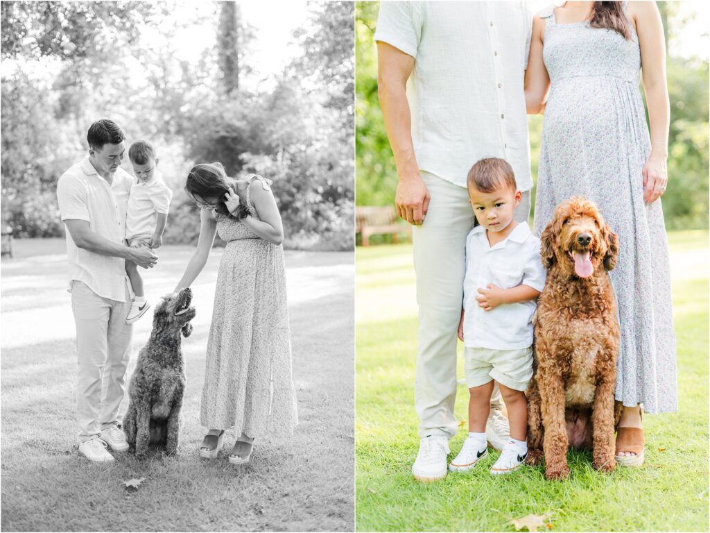 Jacksonville maternity session at a park with a dog